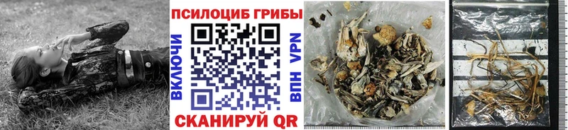 Галлюциногенные грибы мицелий Севск